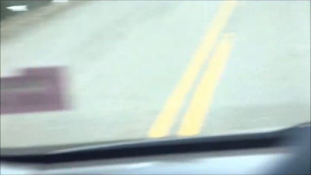 Bison in Road - Yellowstone смотреть онлайн