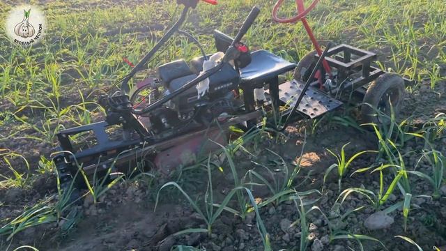 🚜Сломался прям во время работы по чесноку🧄 #кринж смотреть онлайн