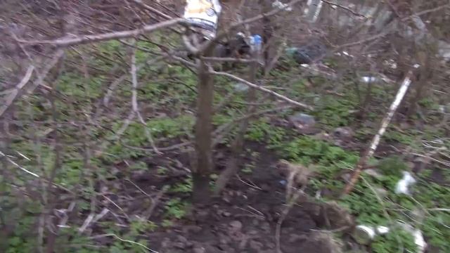 Что сделать чтобы груша дала больше плодов смотреть онлайн