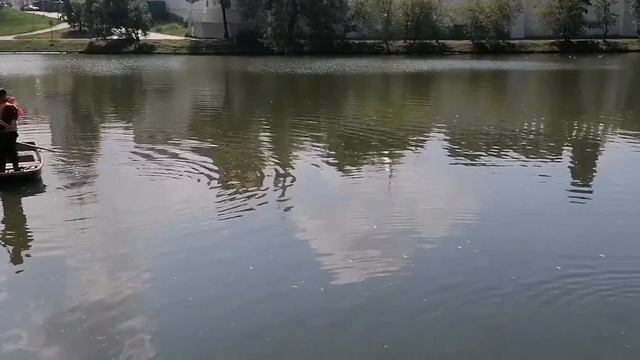 Берега Новодевичьего пруда прибрали от мусора