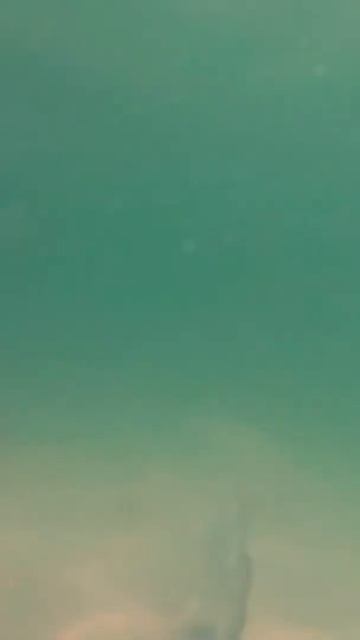 Snorkeling смотреть онлайн