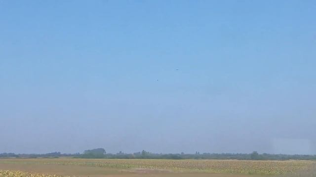 Два орла (Беркута) парят в небе над полем. Вид из окна дизель-поезда Д1 смотреть онлайн