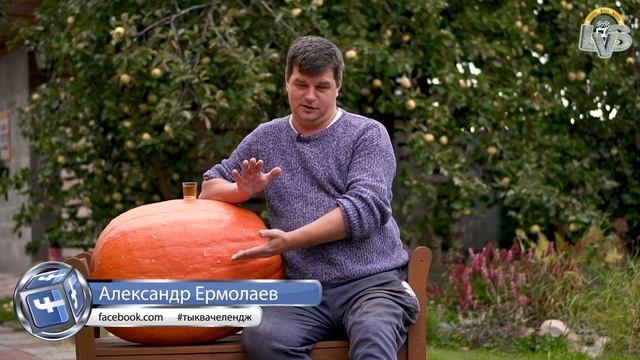 Тыквачелендж 2019. Соревнования наших тыквоводов. смотреть онлайн