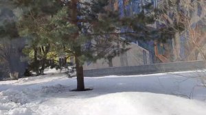 Территория Брянской  детской  областной  больницы и поликлиники, 26 февраля 2024