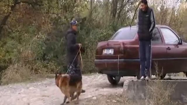 Түрмөдөн качкан кылмышкерлер Ботаникалык бакчадан табылган жок / SUPER.KG смотреть онлайн