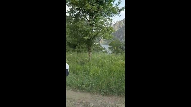 Сары-Челек. 2023ж. смотреть онлайн