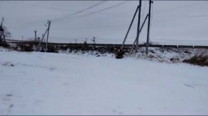 МЕН БАКТЫЛУУ БАЛДАРЫМ БАКТЫЛУУ 2025г