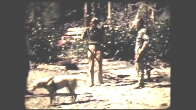 Incident at Bluff Creek смотреть онлайн