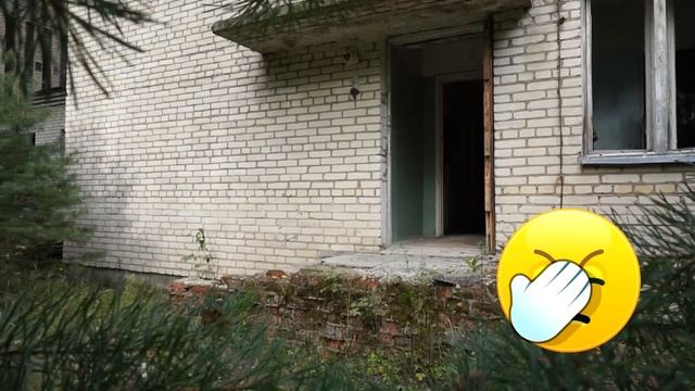 Обычная веселая трена команды Red Queen. смотреть онлайн