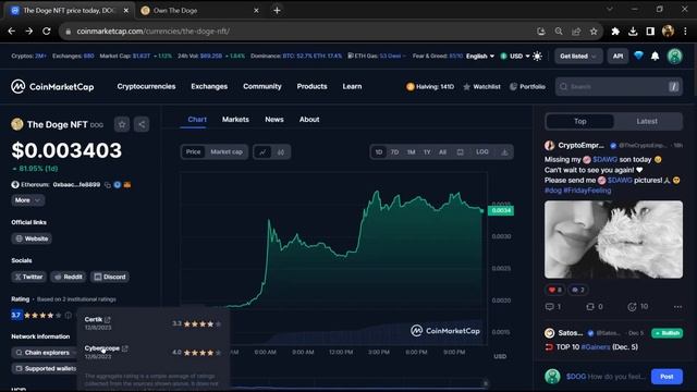What is The Doge NFT (DOG) Coin | Review About DOG Token
