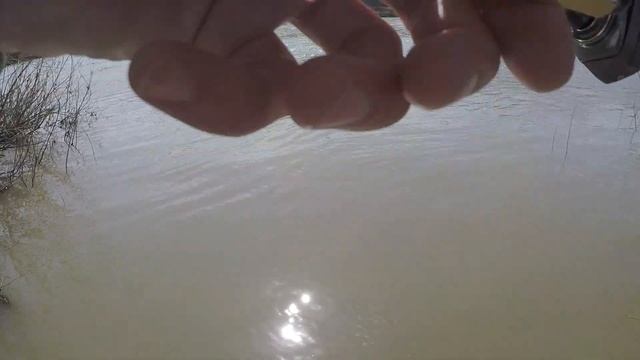 КИНУЛ ПОД ВЕТКУ и ПОНЕСЛОСЬ! Мормышинг весной на реке! смотреть онлайн