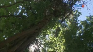 ВИА Ялла. Учкудук