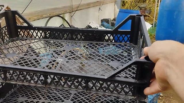 Вечные фоггеры(которые не забиваются)