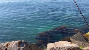 Рыбалка на черном море в марте! Не фартануло