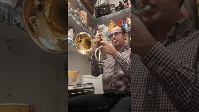 Speak Softly Love - Nino Rota - Flugelhorn смотреть онлайн