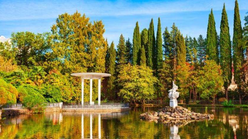 Дендрарий Сочи смотреть онлайн