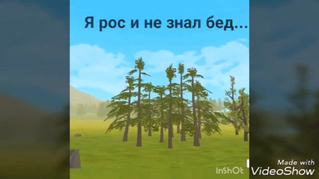 Подарок Сумраку CCZ. Стеллар звездный волк. 1 серия. смотреть онлайн