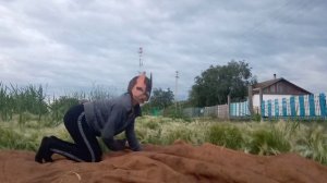 туториал на ходьбу ,рысь,бег голопом в квадробике