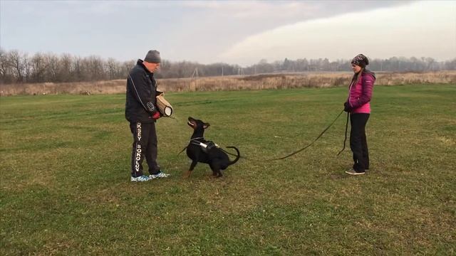 PRIDE OF RUSSIA PUTORANA смотреть онлайн