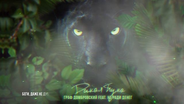 Не Ради Денег feat. Граф Домбровский - Дикая пума смотреть онлайн