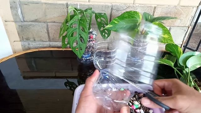 Cara Membuat Pot Bunga dari Botol Bekas!! смотреть онлайн