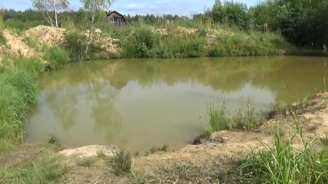 Наш пруд в 2017г. смотреть онлайн