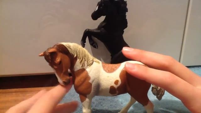 Мои лошади и персонал ШЛЯЙХ и ПАПО смотреть онлайн