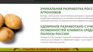 МОЖНО ЛИ ПРИМЕНЯТЬ ГЕРБИЦИДЫ ОСЕНЬЮ ⚫ ВИДЫ ГЕРБИЦИДОВ ОТ СОРНЯКОВ ⚡