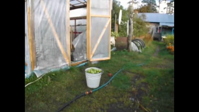 18 сентября Завтра заморозок Убираем выросшее смотреть онлайн