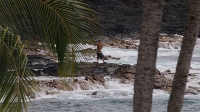 Kona Coast Limpet Collecting смотреть онлайн