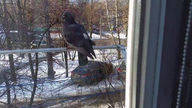 Ээээ эээээ смотреть онлайн