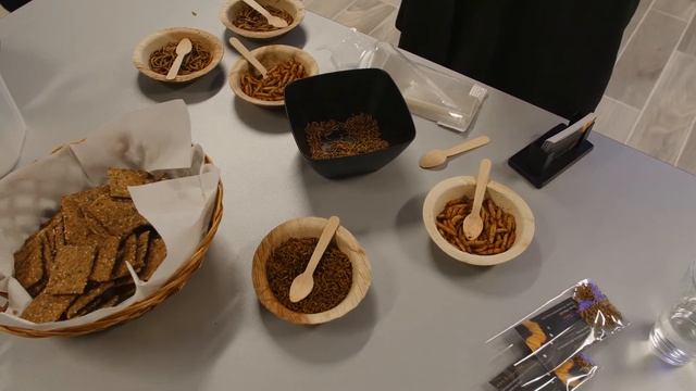 Insekter på Menuen смотреть онлайн