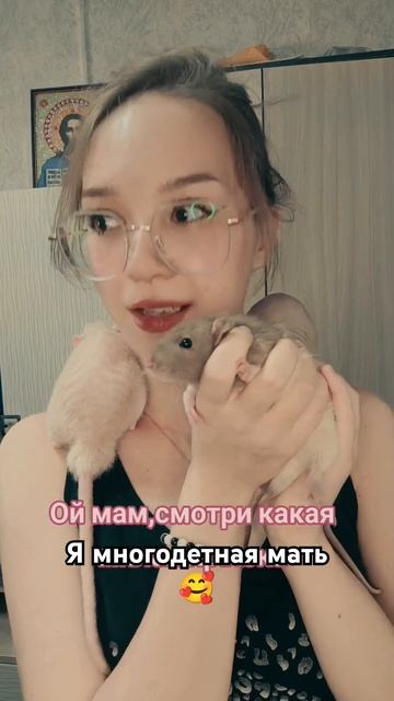 18 июля 2024г животные рептилии reptiles эублефар юмор аксолотль animals nature топ