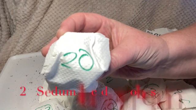 LLGSNC Unboxing March 2024 смотреть онлайн