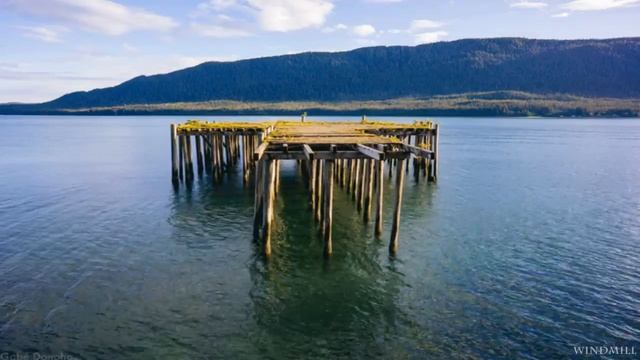 Wolfgang Amadeus Mozart (Symphony No. 25 in G minor) смотреть онлайн