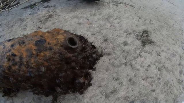 Поисковый магнит - БОМБА или ТОРПЕДА ?