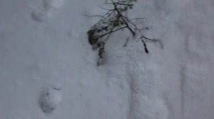 Стрельба из пневматического пистолета макарова.