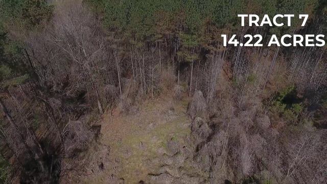 TRACT 7 KING RD MEDON TN  14.22 ACRES OWNER FINANCE WITH 1000 DOWN  LAND FOR SALE