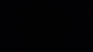 Группа крови