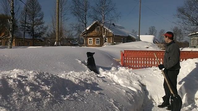 Тонем в сугробах смотреть онлайн