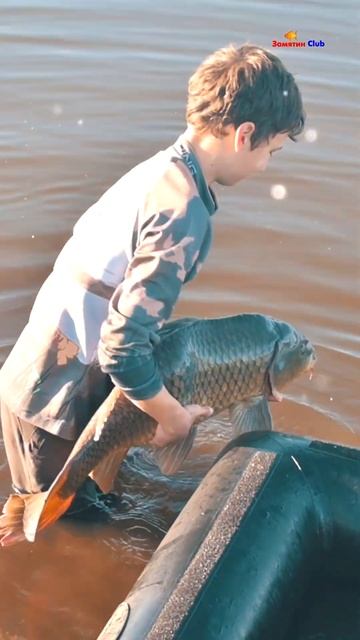 Как карп Квазимода снова на волю вернулся Ловля карпа в завоз #shorts смотреть онлайн