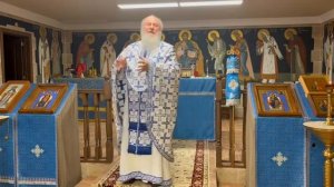 Чему уподоблю Царствие Небесное? Отец Александр Торик 17.11.2024