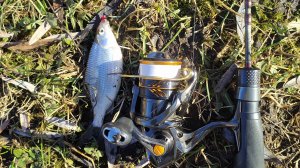 Мормышинг. Домашний водоем, пробная рыбалка 8 марта 2025 года