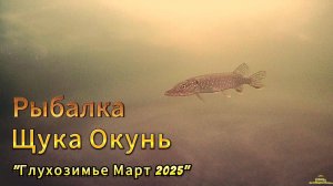 ЩУКИ МОНСТРЫ ОКУНИ ГОРБАЧИ В ГОРОДСКИХ ТРУЩОБАХ ИГНОРЯТ БАЛАНСИРЫ РАТЛИНЫ такое вот ГЛУХОЗИМЬЕ 2025