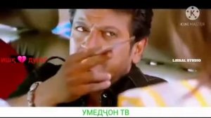 Суруди Ошики🤗