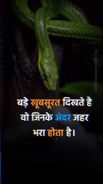 #scccgl#mpsc#sscchsl#motivation#bank #ips#pcs#ias#ifs#bps#shorts #short#motivational смотреть онлайн