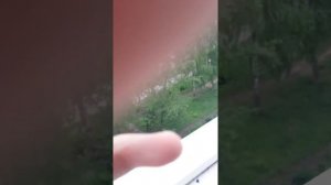 Скинули пакет с водой часть 3