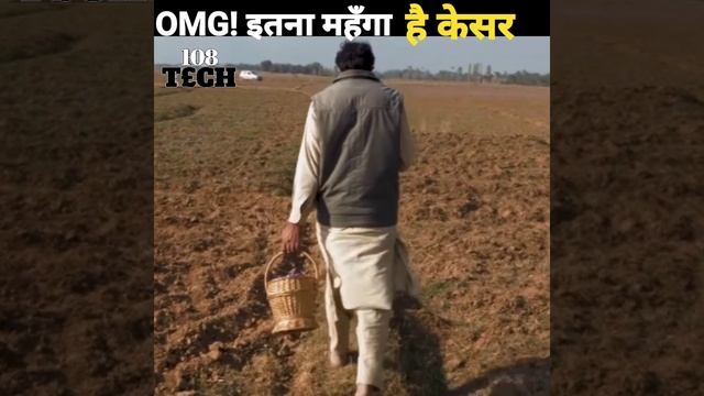 कसर कय ह हद स जयद महग   Why Kesar Price Is Very High ShortAshortaday...