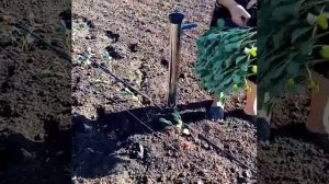 Посадочный пистолет в действии!