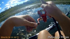 Ловля щуки в траве на Китайское яйцо. Щука на Хорватское яйцо. Красивые поклёвки